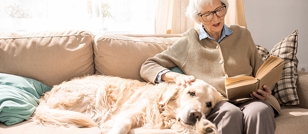 hund-i-sofa-i-fanget-til-dame